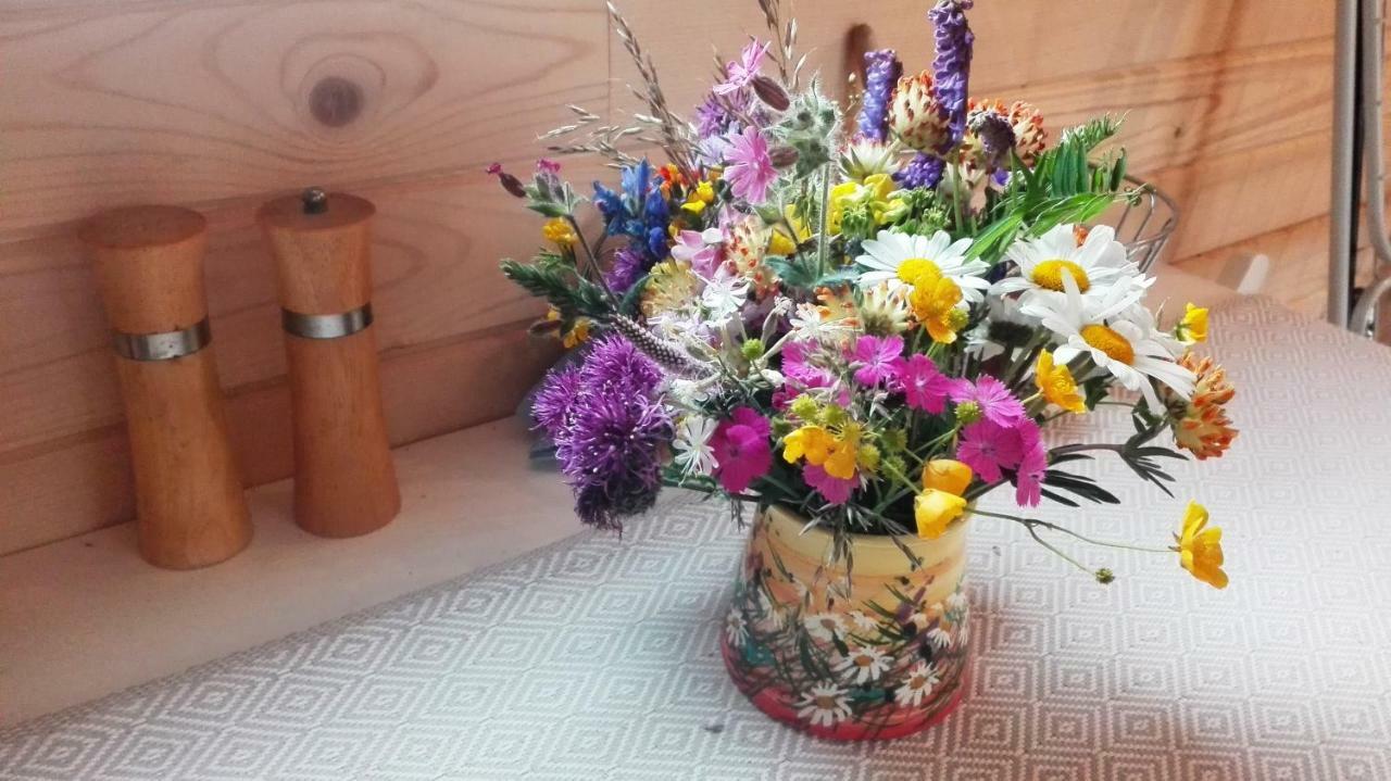 דירות Liptovský Hrádok Tiny House Olivia מראה חיצוני תמונה